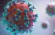 Photo by Fusion Medical Animation