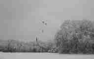 English Garden in Winter, Photo by The Eye Newspapers