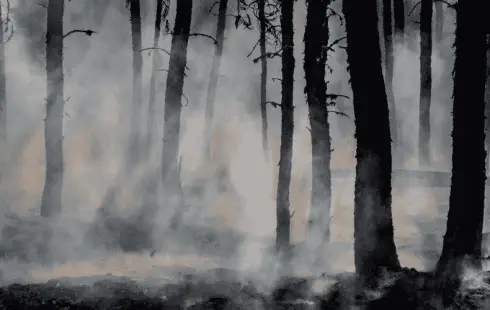 Photo by Joanne Francis