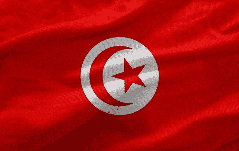 Large majority votes for new constitution in Tunisia
