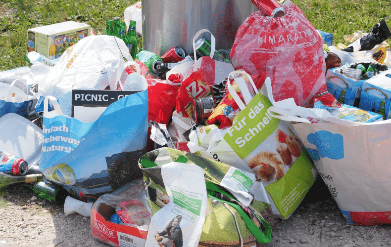 Illegal Waste Accumulation in Berlin-Reinickendorf
