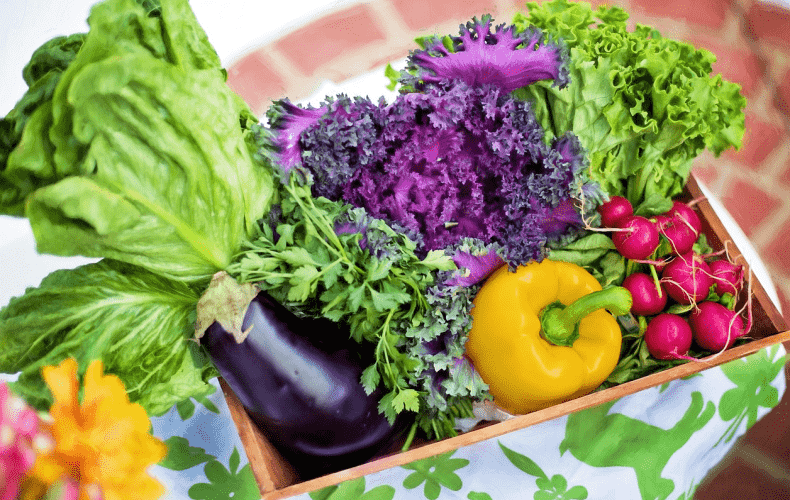 Exploring the Multifaceted Benefits of a Plant-Based Diet