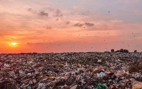 Black Friday, Fast Fashion and the Cost of Constant Consumption