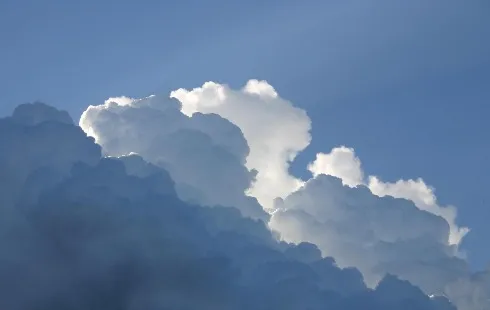 Pantone's Color of the Year an Endless Neutral Loop