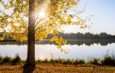 How Autumn Changes the Body: Fatigue, Weight and Daylight