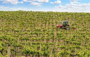 Champagne's 2026 Harvest Was Its Earliest Ever on Record — and Growers Say It Could Be Exceptional