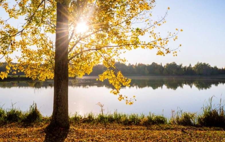 How Autumn Changes the Body: Fatigue, Weight and Daylight